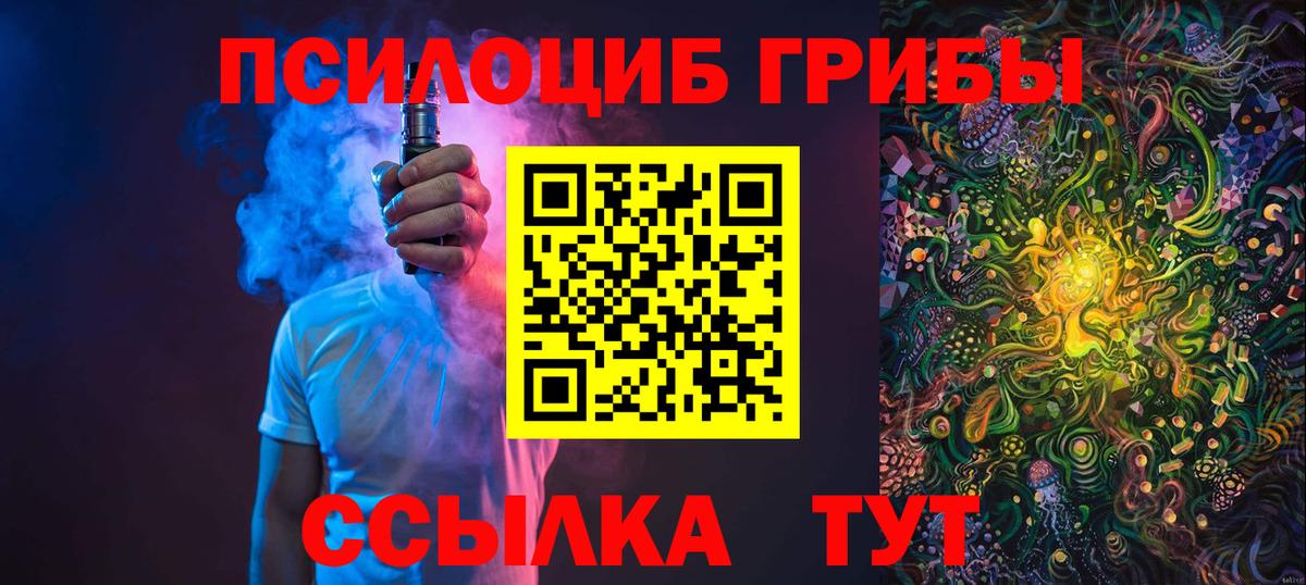 Грязи  Галлюциногенные грибы Cubensis  Галлюциногенные грибы Psilocybine cubensis  наркошоп  Вход с VPN 